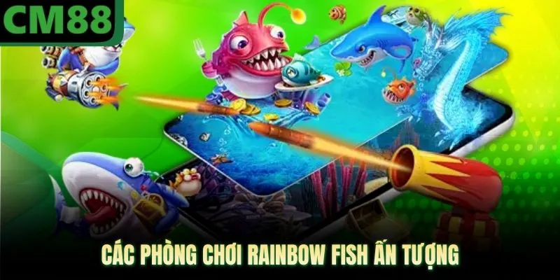 Các phòng chơi rainbow fish ấn tượng